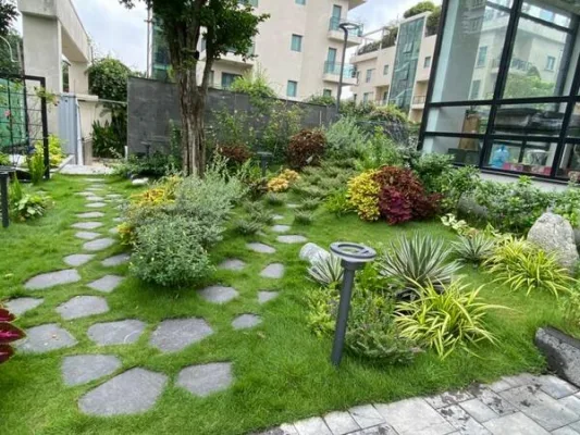 thi-cong-san-vuon-tron-goi